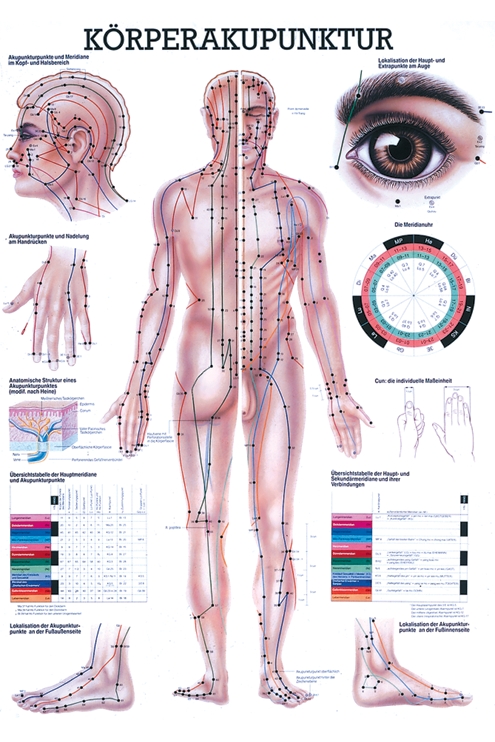 anat. Lehrtafel: Körperakupunktur 70 x 100 cm, Papier