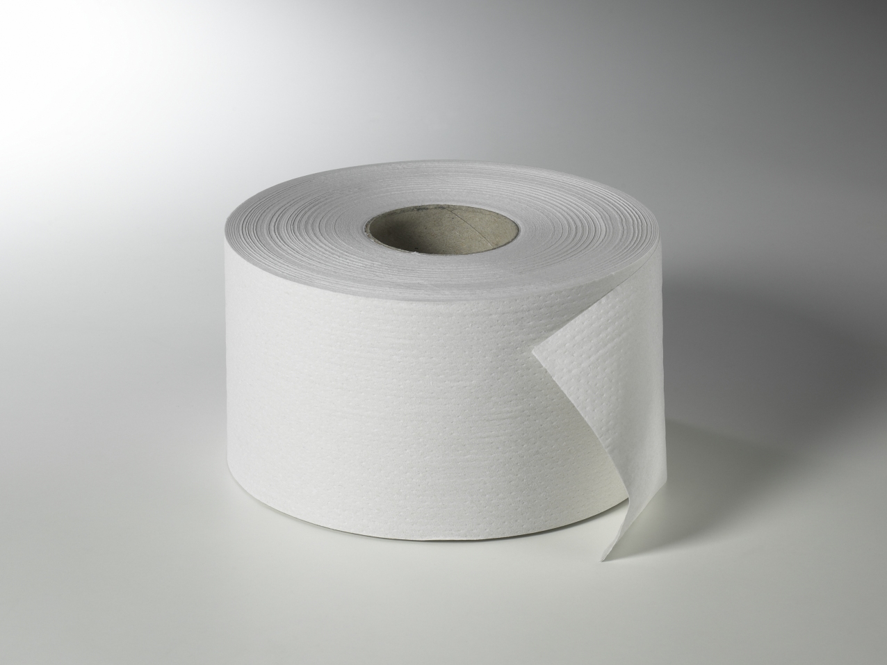 Fripa - Toilettenpapier maxi, 2-lagig 180 m, nicht perforiert (12 Rl.)