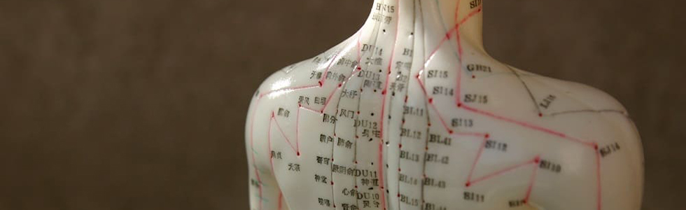 Ein Ganzkörper-Akupunktur Modell aus dem Sortiment