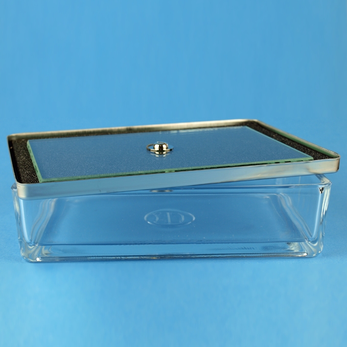 Glasschale mit Edelstahldeckel 20 x 10 x 5 cm