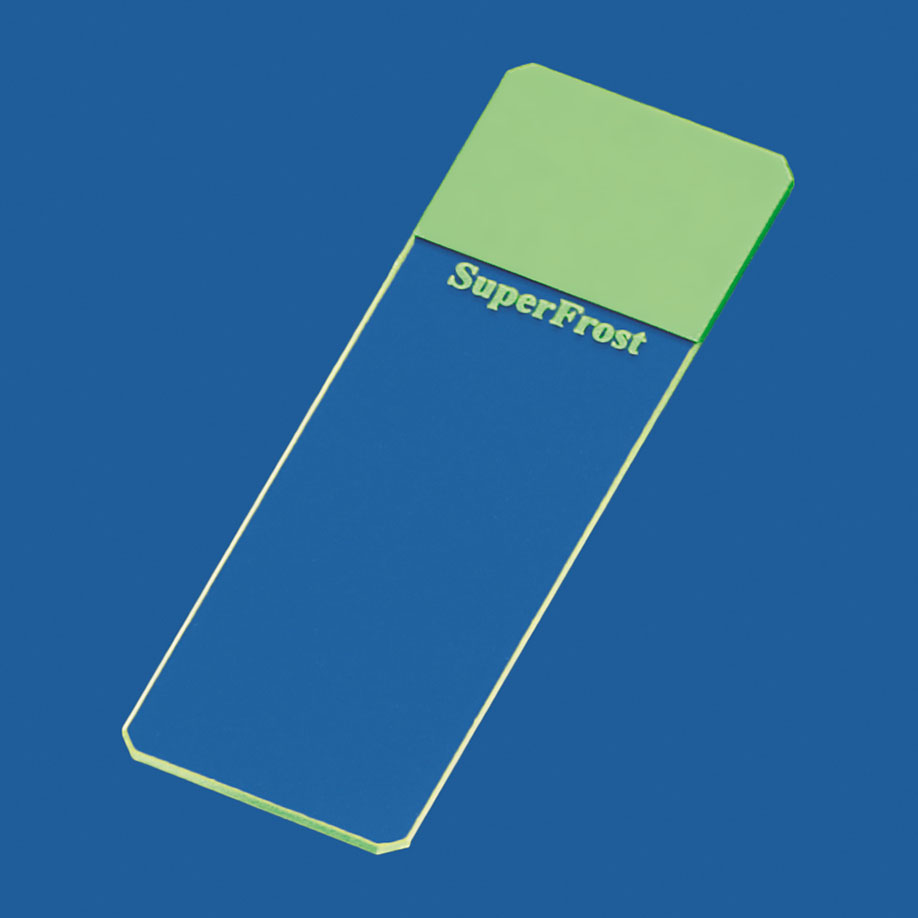 Objektträger SuperFrost grün geschliffen 45° (50 Stck.)