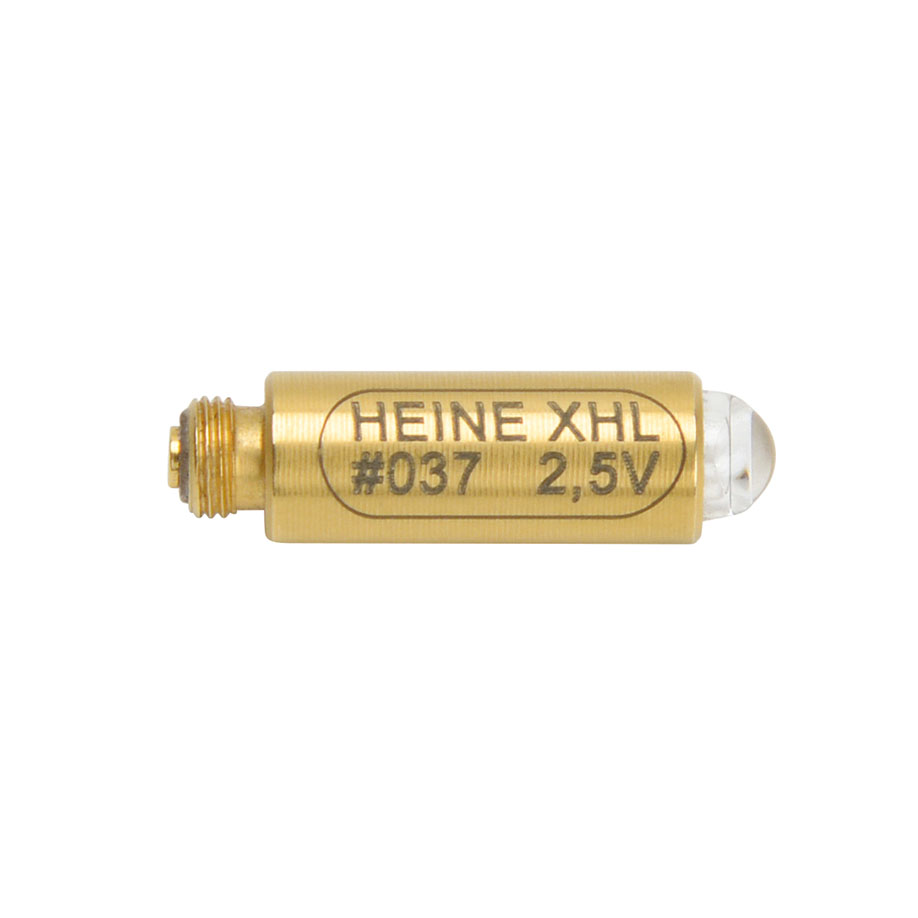 XHL Xenon Halogen Lampe 2,5 V