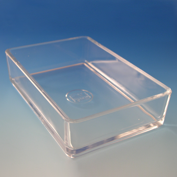 Instrumentenschale aus Glas, ohne Deckel 20 x 10 x 5 cm