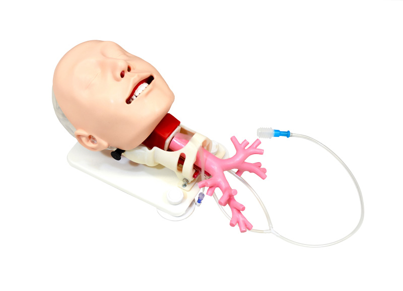 Simulator für schwieriges Atemwegsmanagement für die Fiberbronchosskopie